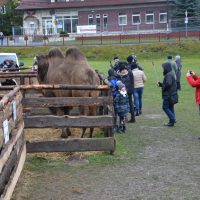 Wspólne kolędowanie przy Żywej Szopce 2021