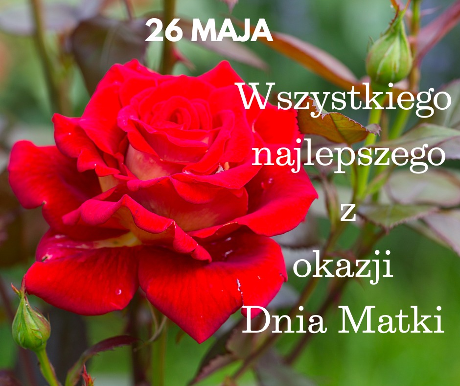 WhatsApp Image 2025-05-26 at 06.11.54