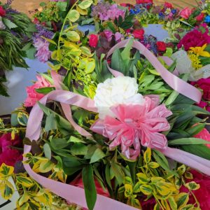 508500078_1216068870312658_5749290758299277880_n 508500078_1216068870312658_5749290758299277880_n