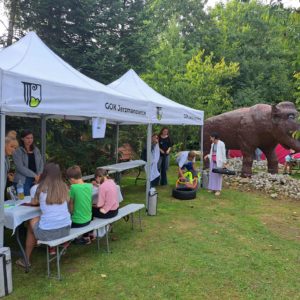 Nietoperze w centrum uwagi czyli 8. Festiwal Nietoperzy