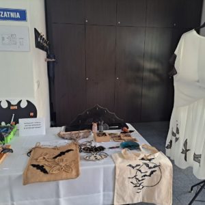 Nietoperze w centrum uwagi czyli 8. Festiwal Nietoperzy