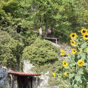 Nietoperze w centrum uwagi czyli 8. Festiwal Nietoperzy