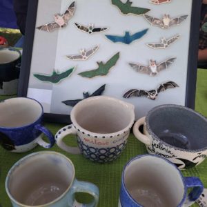 Nietoperze w centrum uwagi czyli 8. Festiwal Nietoperzy