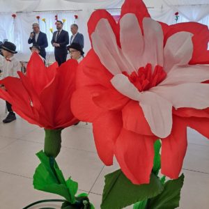 WhatsApp Image 2026-03-08 at 19.17.00 (1) WhatsApp Image 2026-03-08 at 19.17.00 (1)