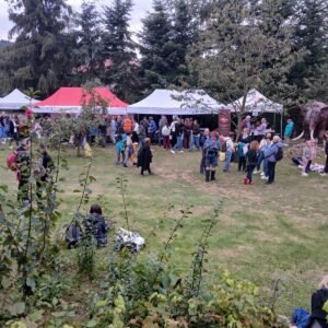WhatsApp Image 2026-09-16 at 08.22.17 (1) 9 Festiwal Nietoperzy